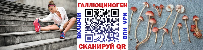 купить   Сясьстрой  Галлюциногенные грибы мухоморы 
